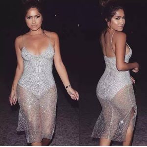 Silver Sparkle Sexxxy Sheer Dress